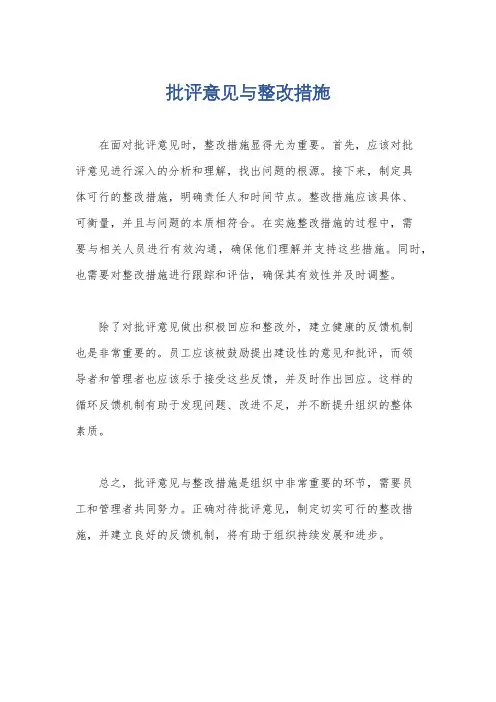 批评意见与整改措施
