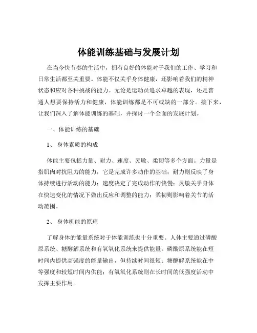 体能训练基础与发展计划