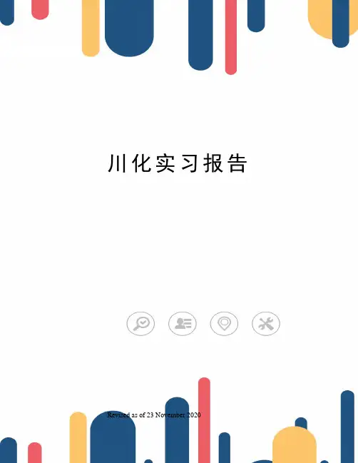 川化实习报告