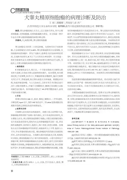 犬睾丸精原细胞瘤的病理诊断及防治