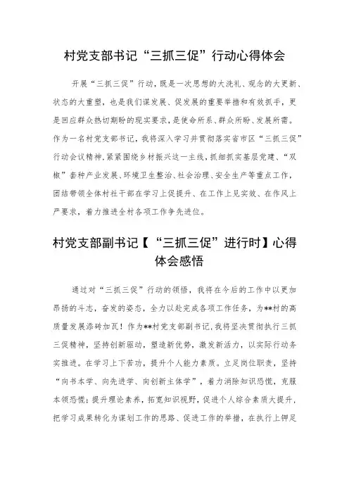 村党支部书记“三抓三促”行动心得体会(通用三篇)
