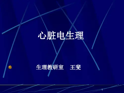 心脏电生理