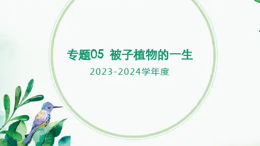 专题05被子植物的一生(课件精讲)-2024年中考生物一轮复习