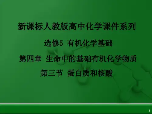 《蛋白质》教用课件人教