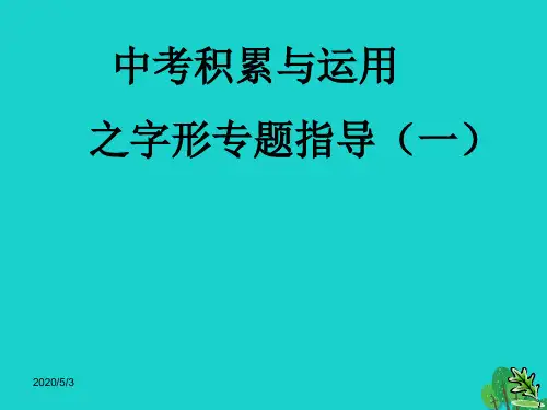 中考语文复习 语音与汉字 语音(汉字)课件