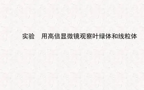 2017-2018学年高中生物 第3章 实验用高倍显微镜观察叶绿体和线粒体课件 新人教版必修1