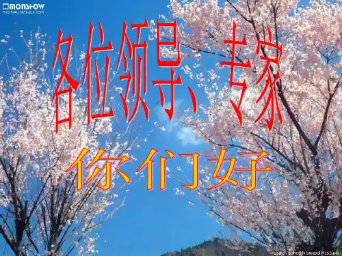 004井下作业技术(油水井措施)(挤堵)课件解析