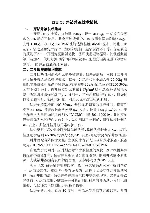 DPH-38井钻井液技术措施