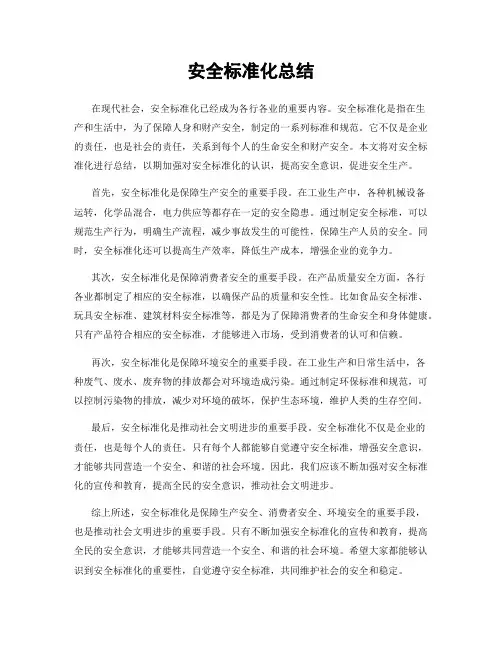 安全标准化总结