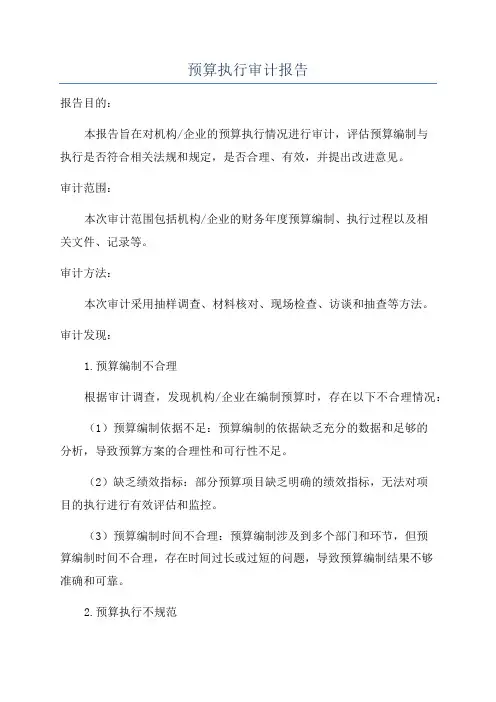 预算执行审计报告
