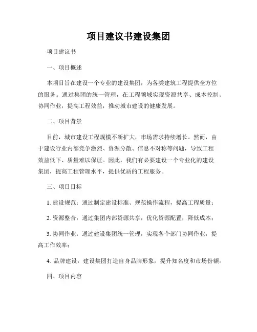 项目建议书建设集团