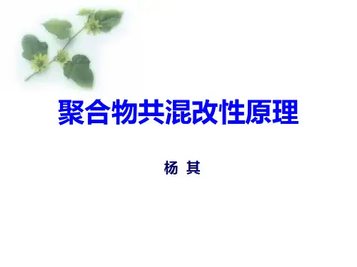 第二章 聚合物共混改性原理-杨其