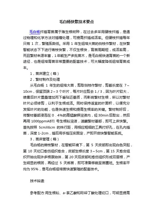 毛白杨快繁技术要点