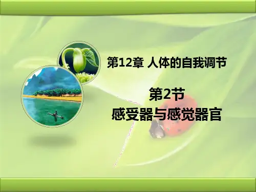 初中生物   七年级下第2节 感受器和感觉器官