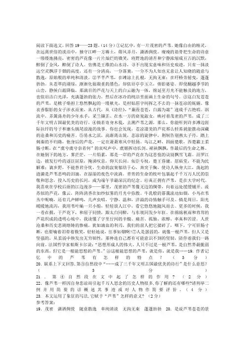 心中的芦苇阅读题及答案