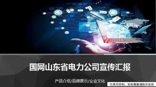 国网山东省电力公司宣传汇报PPT