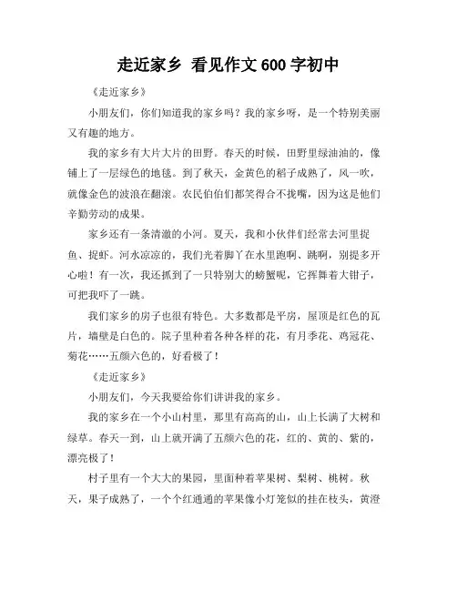 走近家乡 看见作文600字初中