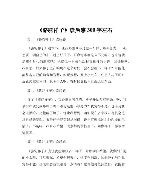 《骆驼祥子》读后感300字左右