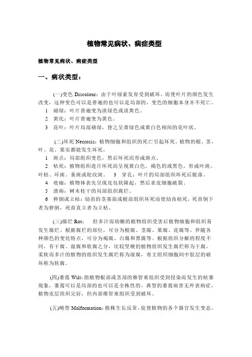 植物病害症状