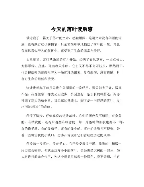 今天的落叶读后感
