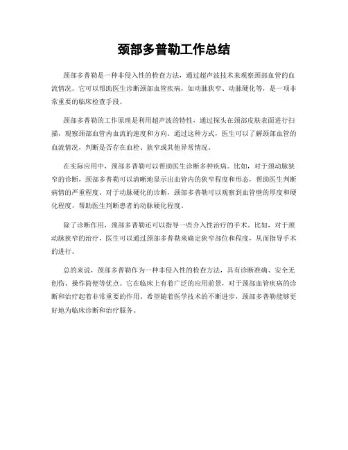 颈部多普勒工作总结