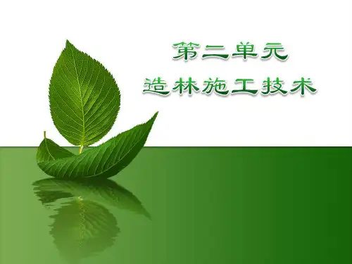 造林施工技术