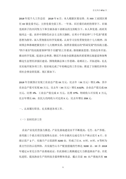 2019年乡镇党委书记个人工作总结
