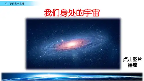 六年级语文上册11宇宙生命之谜完整版