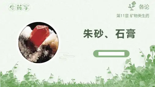 110101 矿物药 - 朱砂、石膏