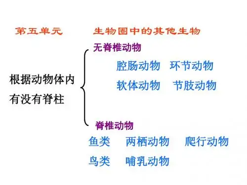 八上册生物第五单元