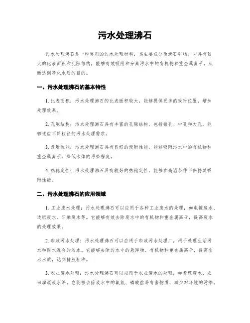 污水处理沸石