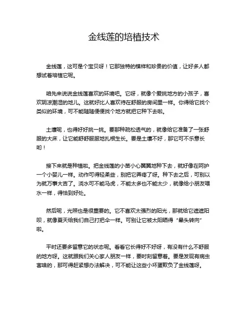 金线莲的培植技术