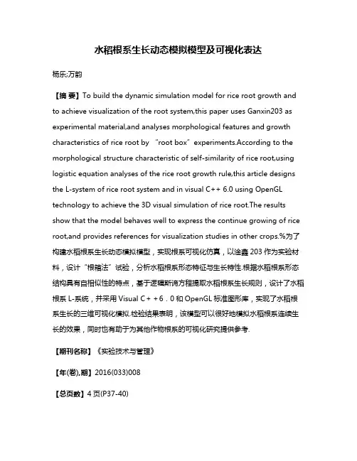 水稻根系生长动态模拟模型及可视化表达