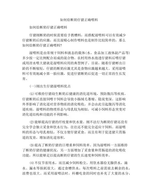 如何给断奶仔猪正确喂料