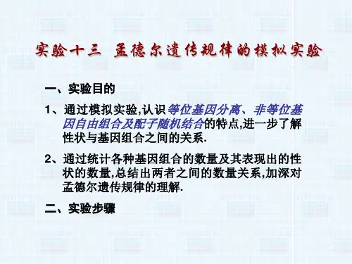 实验十三孟德尔遗传规律的模拟实验