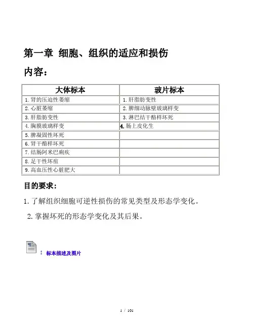 病理病例大体及玻片标本