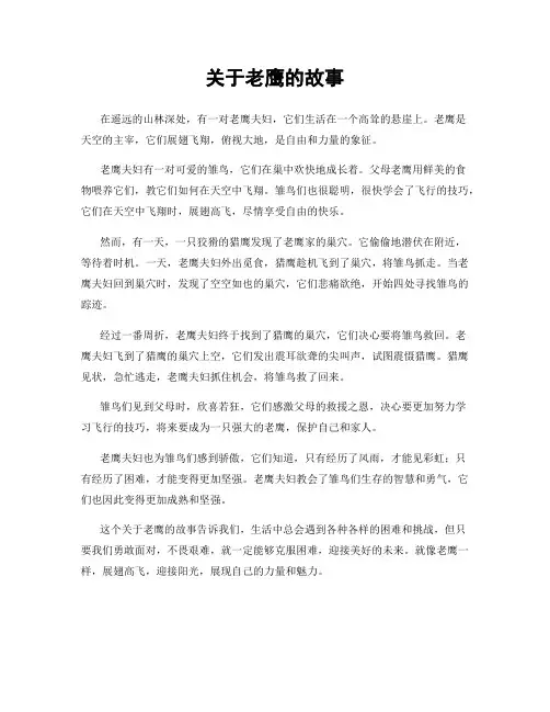 关于老鹰的故事