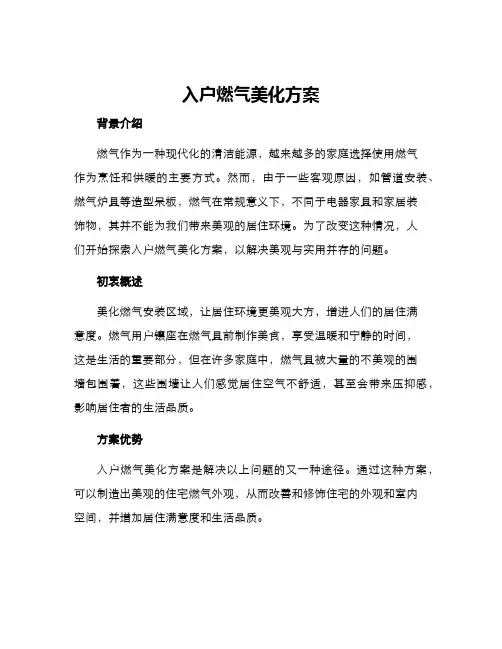 入户燃气美化方案