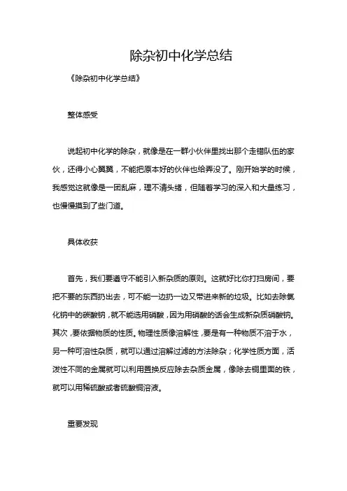 除杂初中化学总结