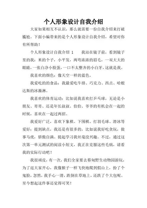 个人形象设计自我介绍