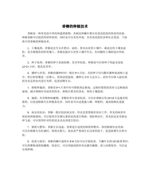 香椿的种植技术