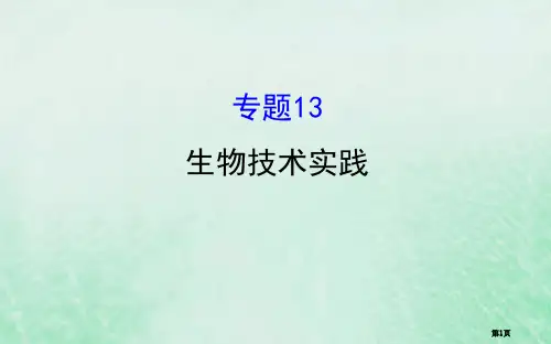 高考生物复习专题十三生物技术实践全国公开课一等奖百校联赛示范课赛课特等奖PPT课件