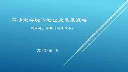 不确定环境下的企业发展战略