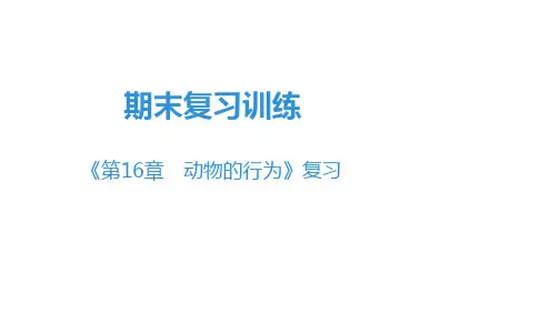 北师大版八年级上册生物期末复习训练课件《第16章 动物的行为》复习