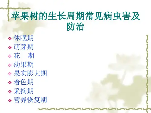 苹果树教学课件.ppt