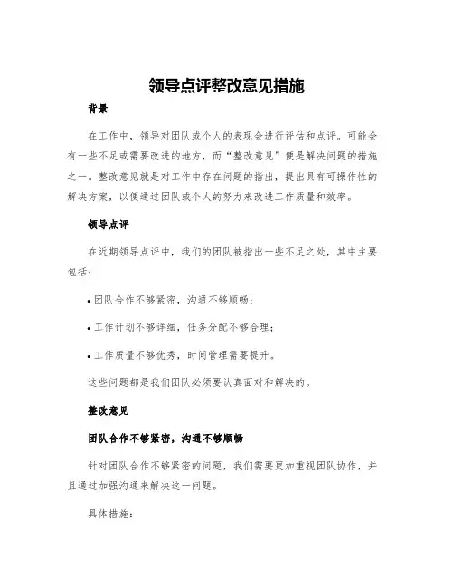领导点评整改意见措施