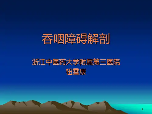 吞咽的解剖-钮雪康ppt课件