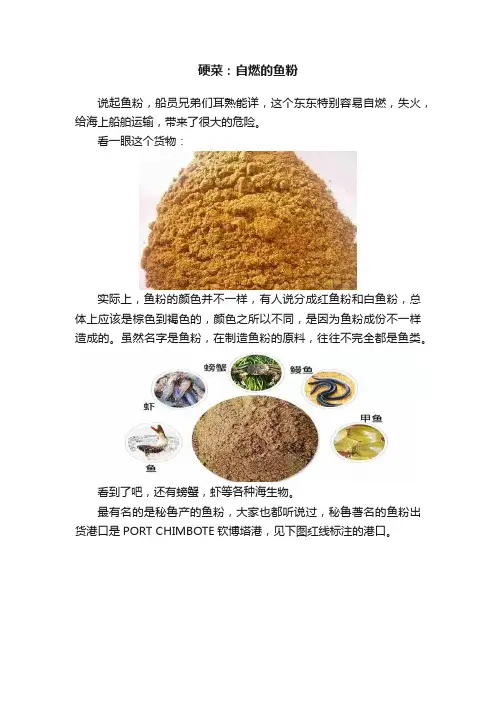 硬菜：自燃的鱼粉