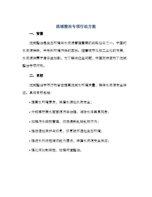 流域整治专项行动方案