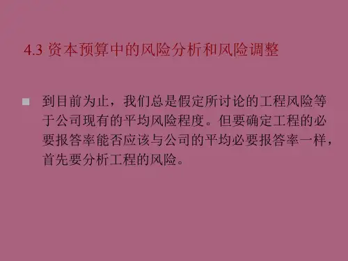 【大学】资本预算中的风险分析和风险调整ppt课件